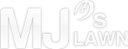 Chesapeake lawn service